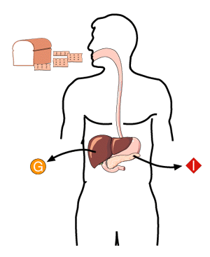 Overview Figure